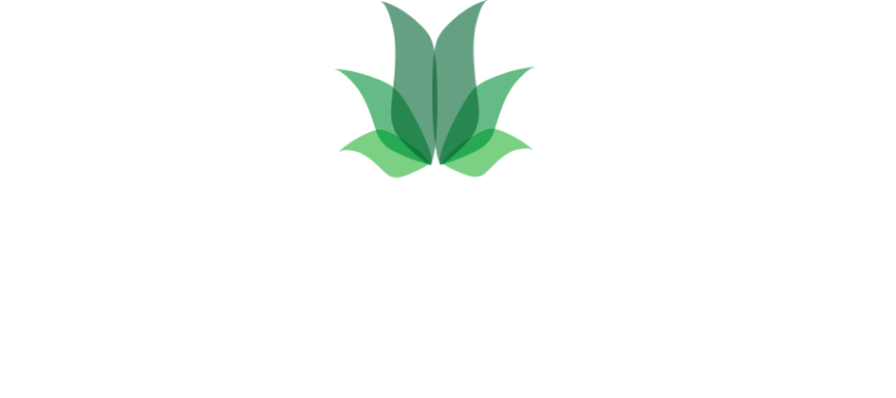 indoor plants foliage