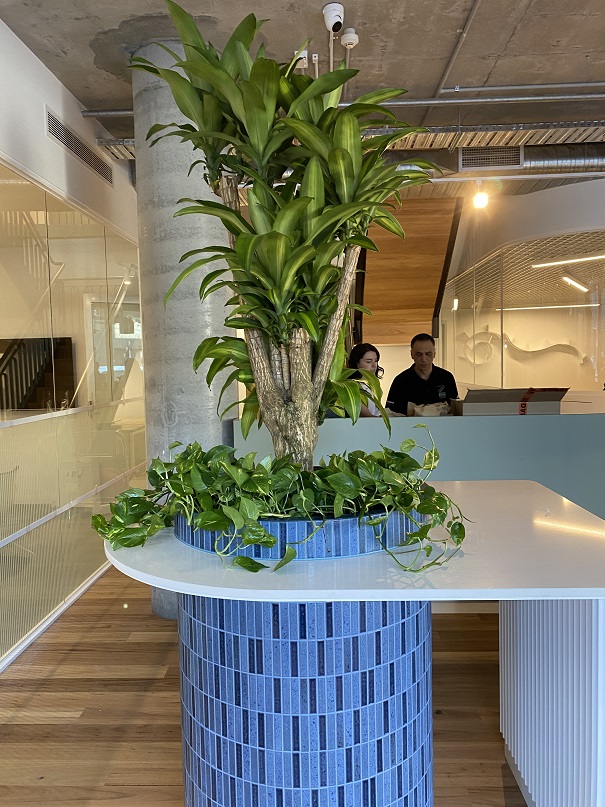 Reception Custom Planter
