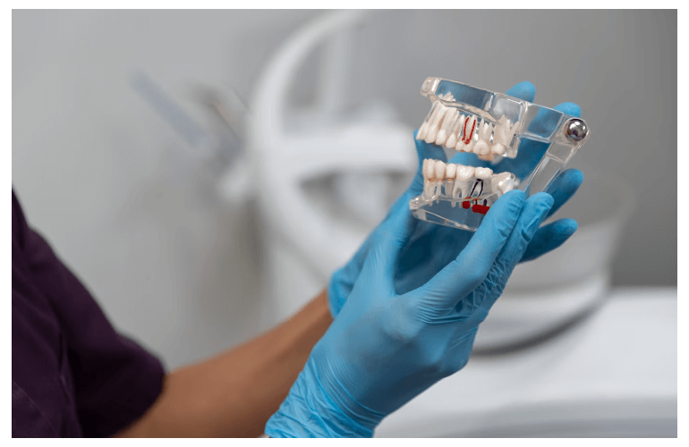 Biomimetic vs Traditional Dentistry (1)